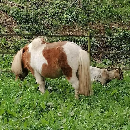 בית נופש Au Pre De Mukky *